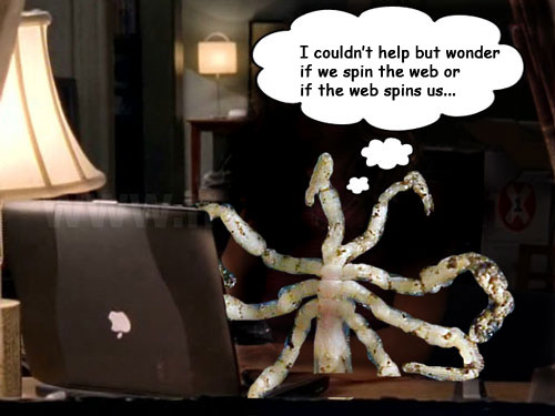 spider-laptop