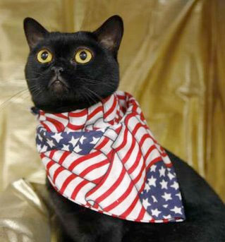 barack-cat.jpg