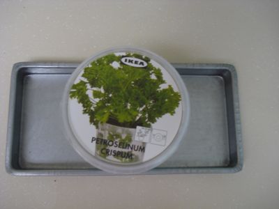 parsley-3.jpg