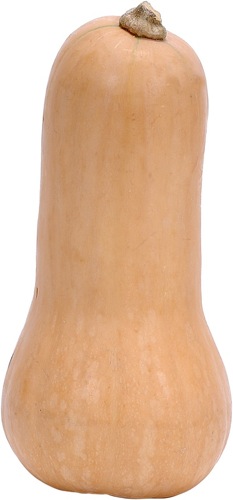 butternut-squash.jpg