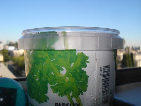 parsley-2-2-09-2.jpg