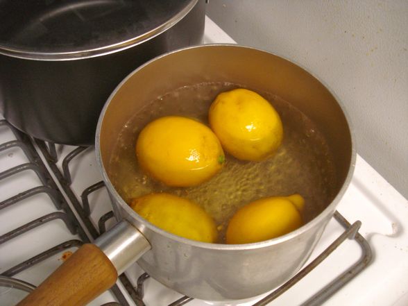 meyer-lemons-05.jpg