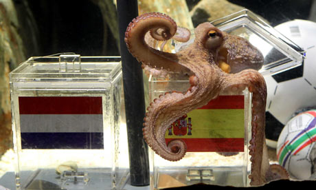 Paul-the-octopus-005.jpg