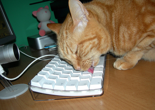 cat-cleaning-keyboard.jpg