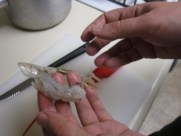 chipotle-shrimp-23.jpg