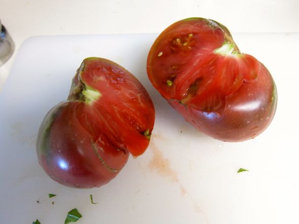 tomatoes-mozzarella-12.jpg